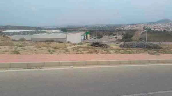 Terreno en calle Erics Alta s/n photo 4