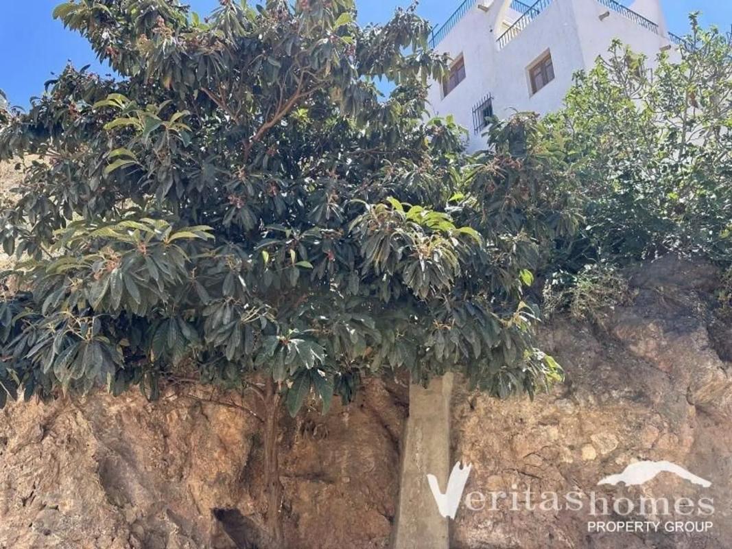 Участок земли на продажу в Мохакар, Алмерия photo 3