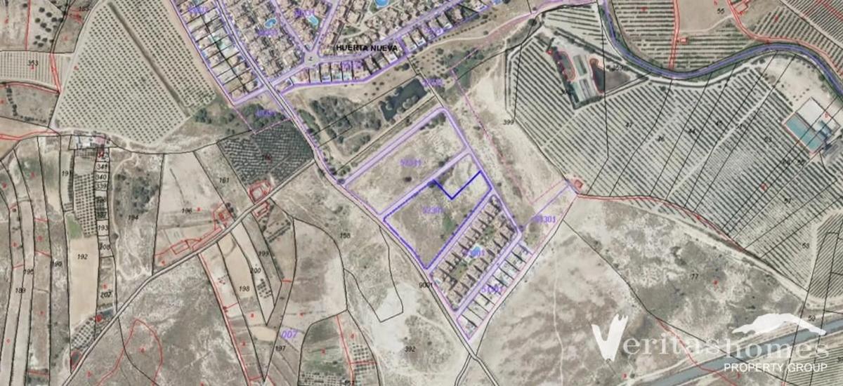 Land for sale in Los Gallardos, Almería photo 4