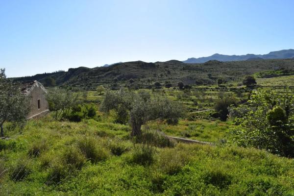 Terreno en Barriada los Lopez thumbnail 2