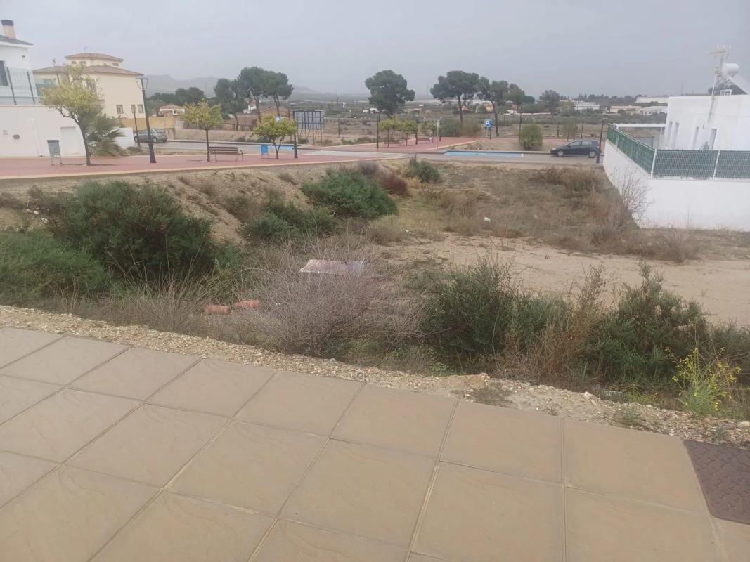 Land for sale in Vera, Almería photo 5