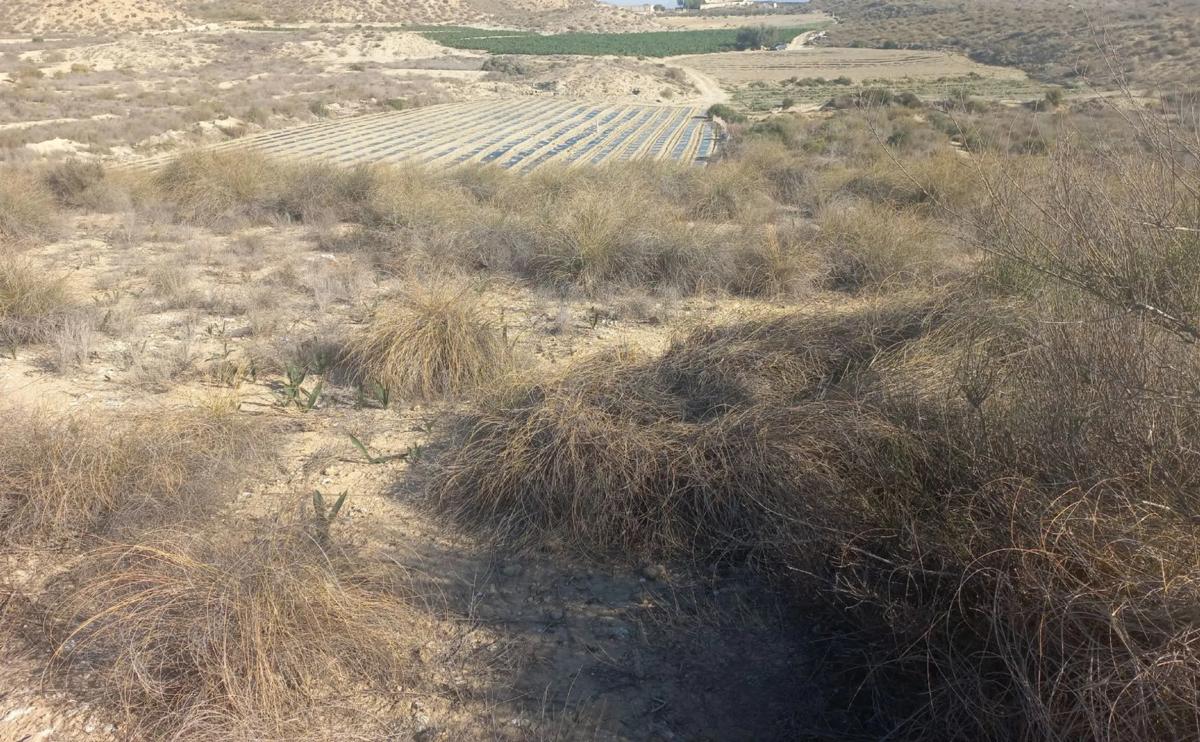 Terreno en venta en Vera, Almería photo 2