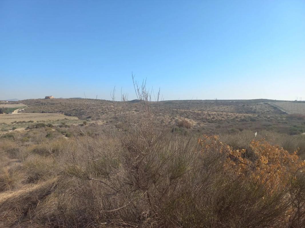 Terreno en venta en Vera, Almería photo 3