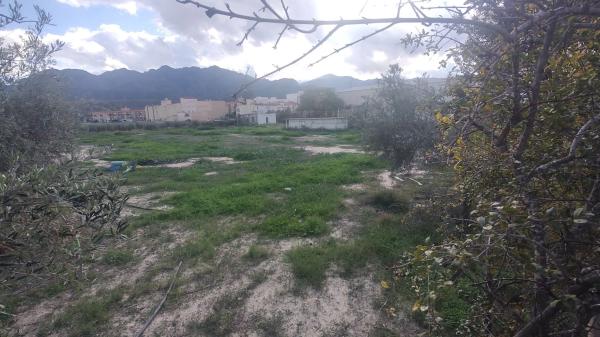 Terreno en calle el Pago s/n photo 4