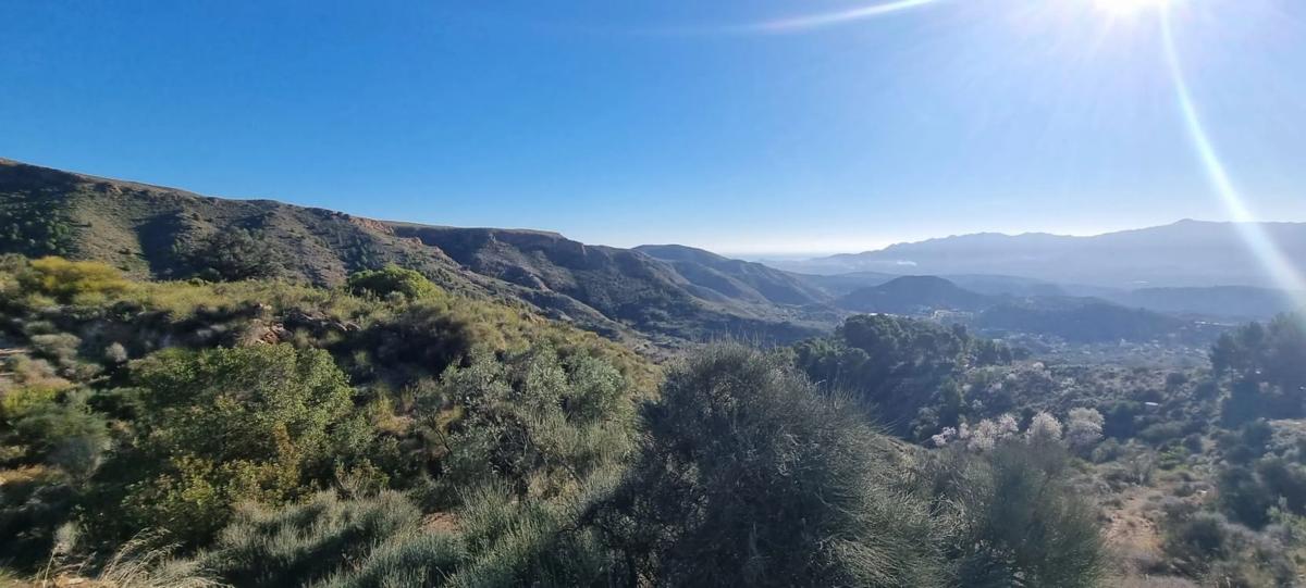 Działka na sprzedaż w Bédar, Almería photo 3