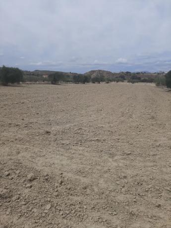 Terreno en El Faz, Mojácar s/n photo 1