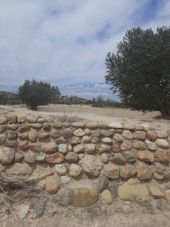 Terreno en El Faz, Mojácar s/n photo 2