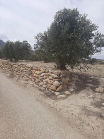 Terreno en El Faz, Mojácar s/n photo 3