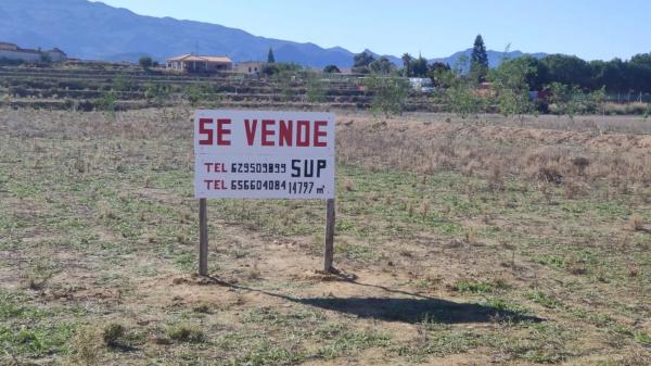Terreno en Paraje los Grajos s/n i photo 1