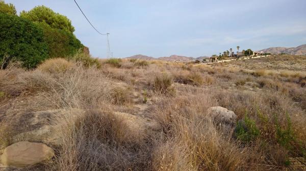 Terreno en Los recoldos s/n photo 1