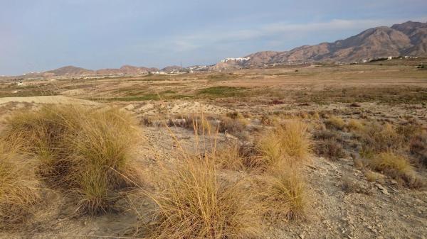 Terreno en Los recoldos s/n photo 3