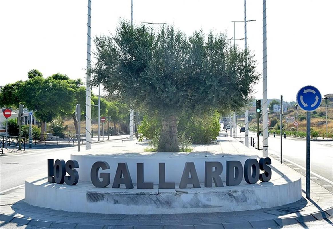 Land for sale in Los Gallardos, Almería photo 4