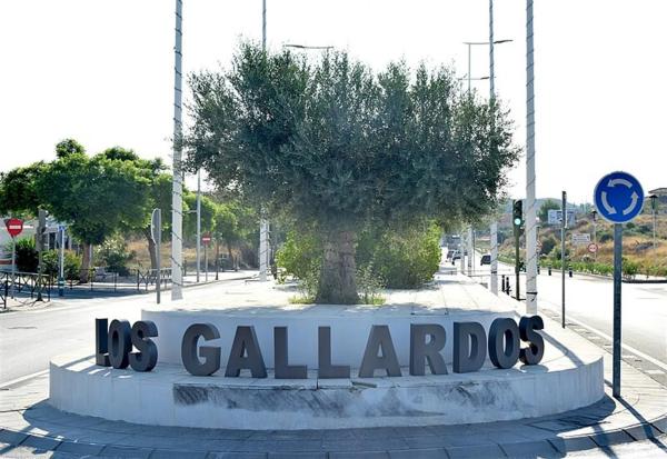 Terreno en Los Gallardos photo 4
