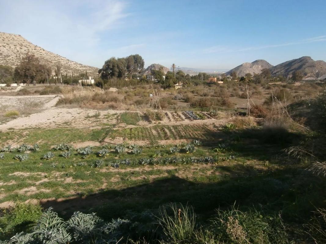 Terreno en venta en Mojácar, Almería photo 4