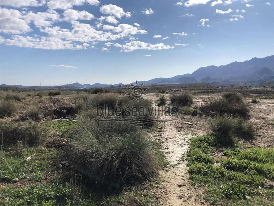 Land for sale in Los Gallardos, Almería photo 2