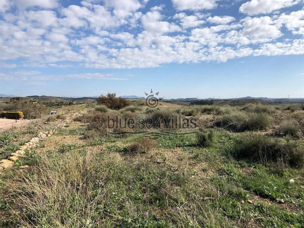 Land for sale in Los Gallardos, Almería photo 3