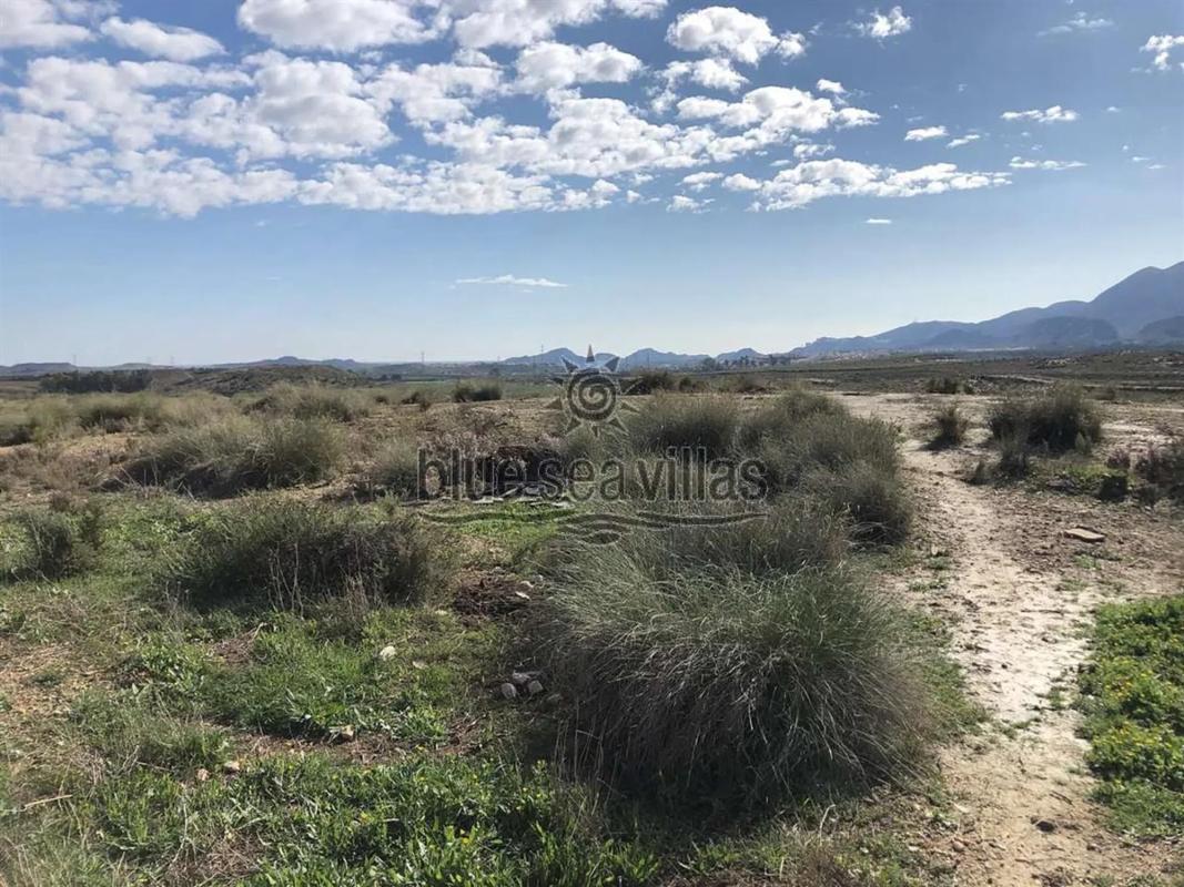 Land for sale in Los Gallardos, Almería photo 4