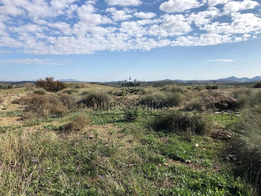 Land for sale in Los Gallardos, Almería photo 5