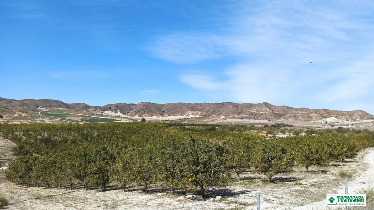 Terreno en venta en Antas, Almería photo 5