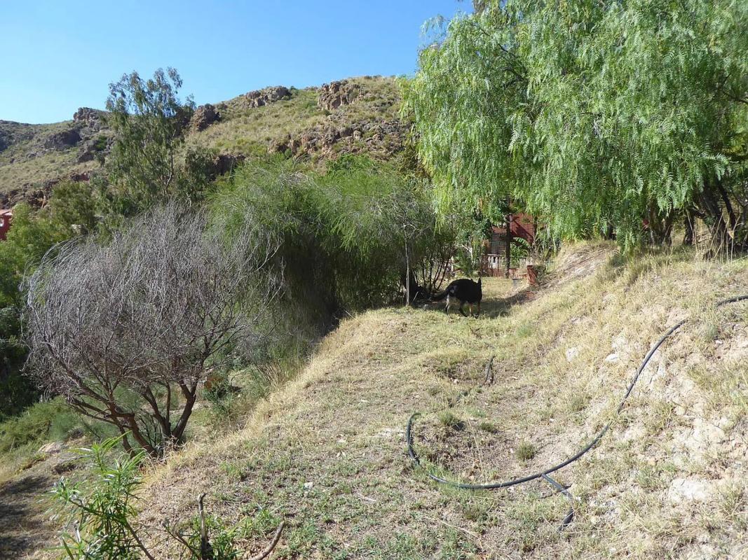 Terreno en venta en Mojácar, Almería photo 3