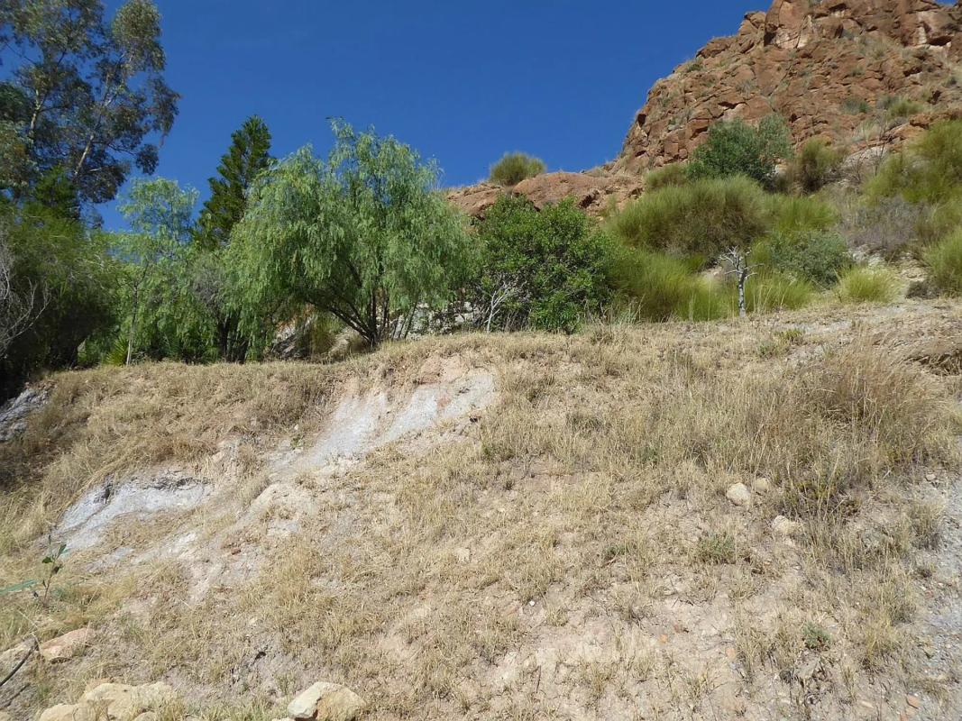 Terreno en venta en Mojácar, Almería photo 4
