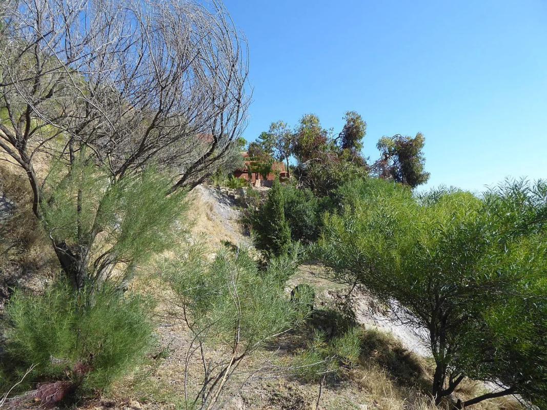 Terreno en venta en Mojácar, Almería photo 5