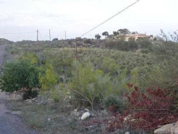 Terreno en Al-5103 photo 1