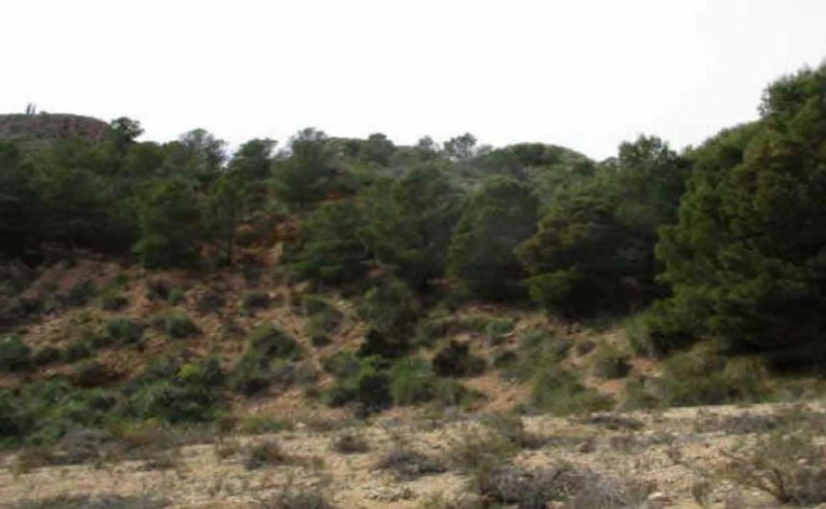 Działka na sprzedaż w Bédar, Almería photo 1