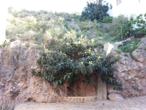 Terreno en calle del Barranco s/n photo 2