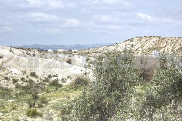 Terreno en Al 820 photo 2
