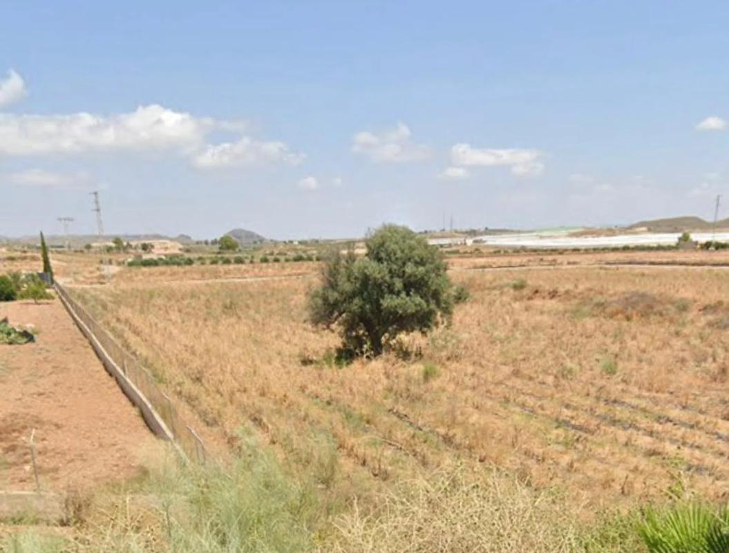 Działka na sprzedaż w Los Gallardos, Almería photo 3