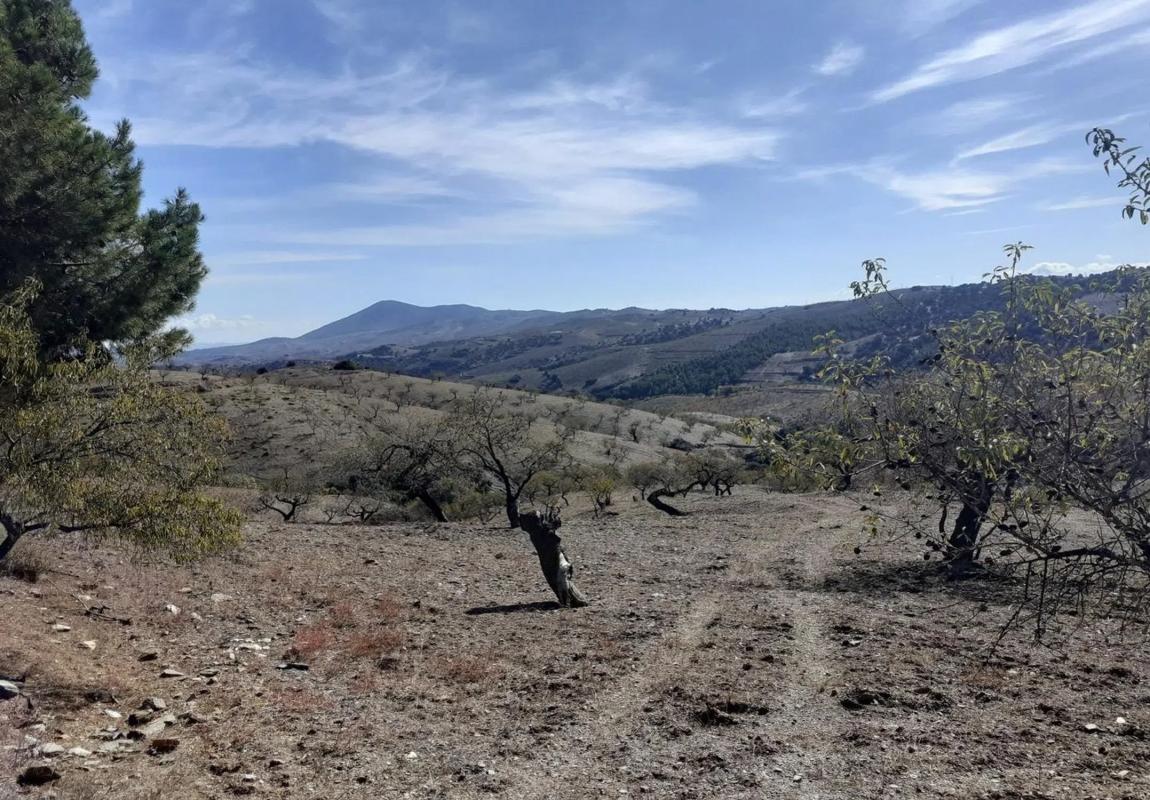 Terreno en venta en Vélez Rubio, Almería photo 2