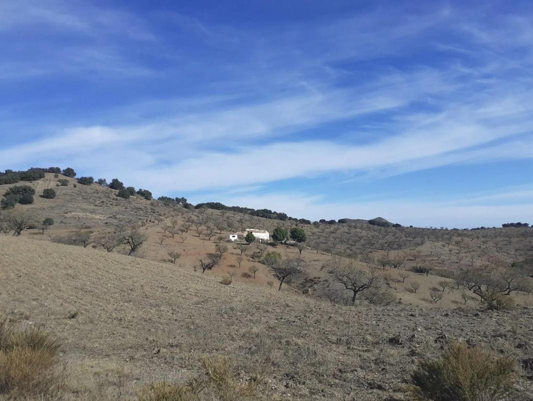 Terreno en venta en Vélez Rubio, Almería photo 5