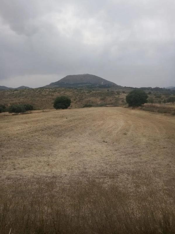 Terreno en venta en Vélez Blanco, Almería photo 1