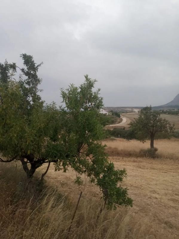 Terreno en venta en Vélez Blanco, Almería photo 3