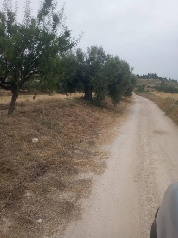 Terreno en venta en Vélez Blanco, Almería photo 4