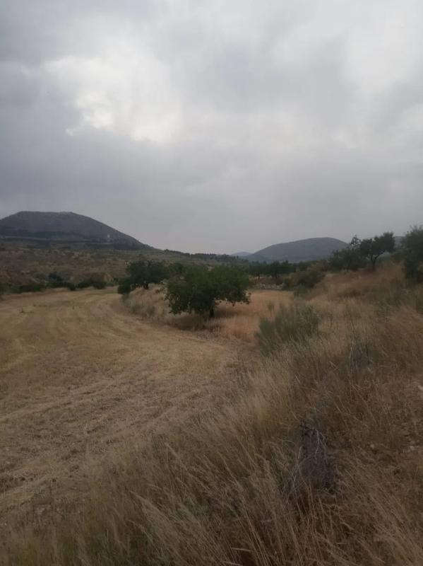 Terreno en venta en Vélez Blanco, Almería photo 5