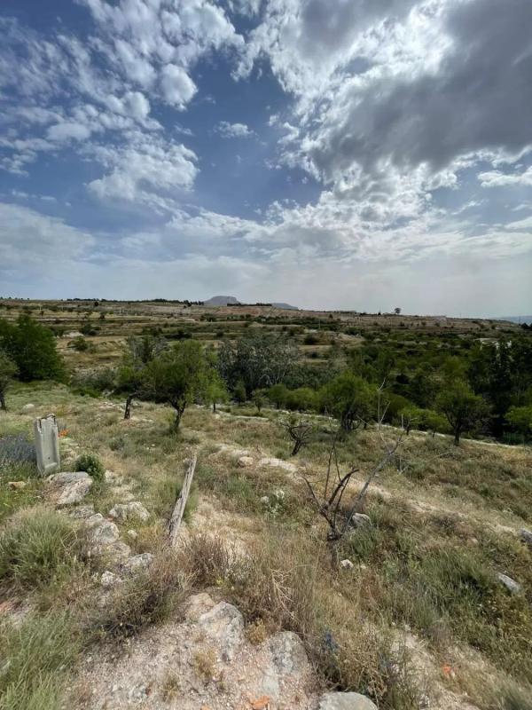 Terreno en venta en Vélez Blanco, Almería photo 1