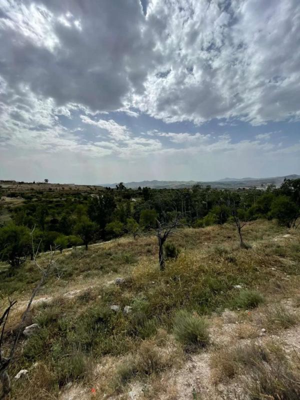 Terreno en venta en Vélez Blanco, Almería photo 2