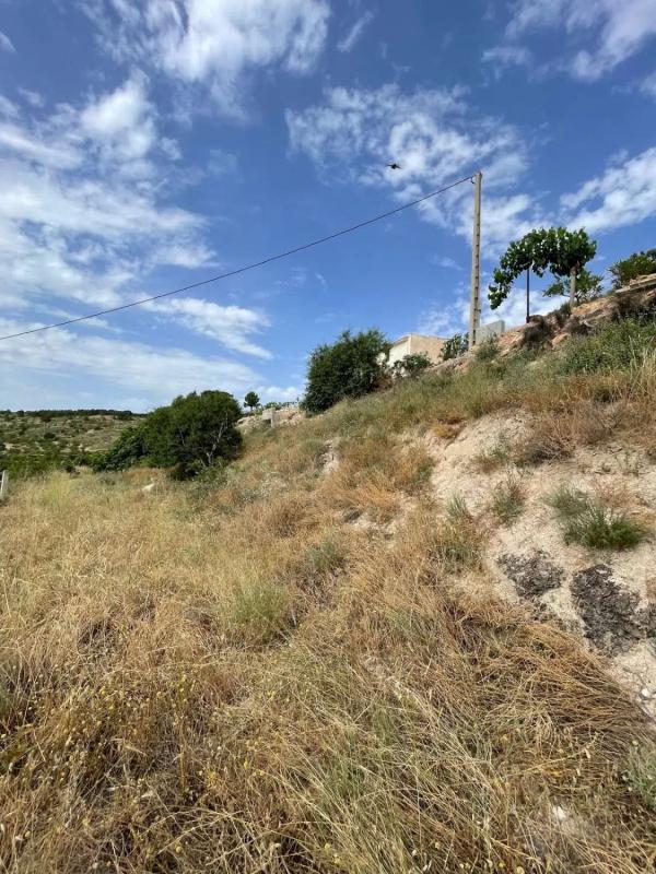 Terreno en venta en Vélez Blanco, Almería photo 4