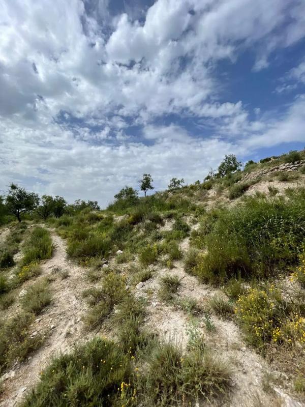 Terreno en venta en Vélez Blanco, Almería photo 5