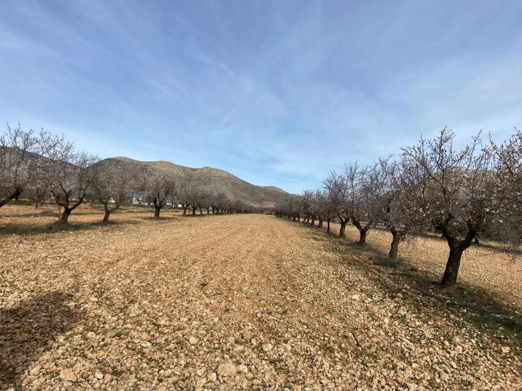 Land for sale in Chirivel, Almería photo 1