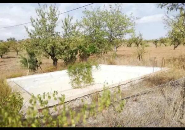 Terreno en A-92n, km 7 photo 1