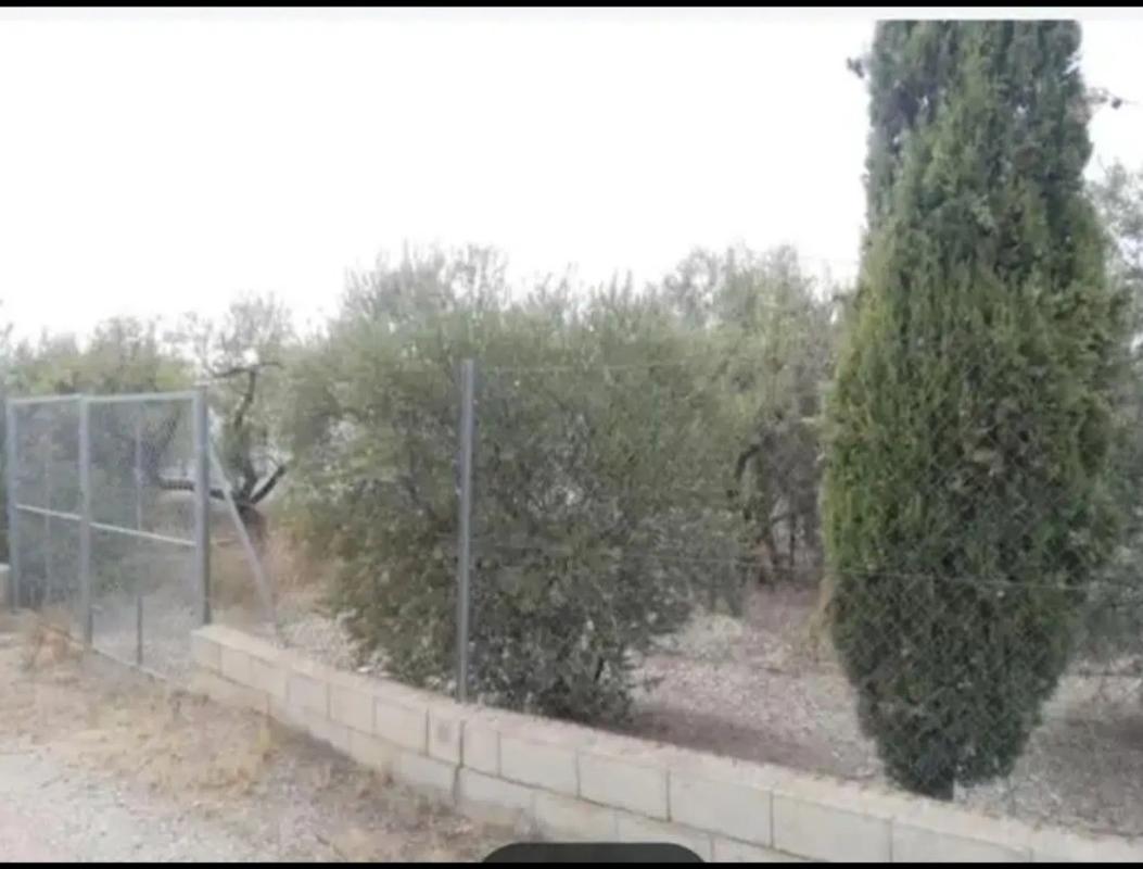 Terreno en venta en Vélez Rubio, Almería photo 2
