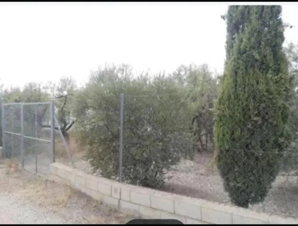 Terreno en A-92n, km 7 photo 2
