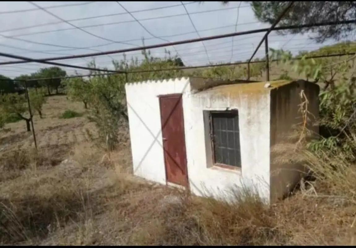 Terreno en venta en Vélez Rubio, Almería photo 5