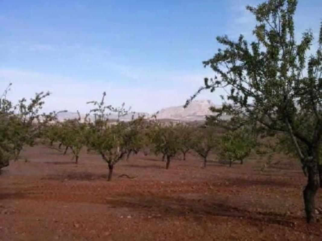 Terreno en venta en Vélez Rubio, Almería photo 3