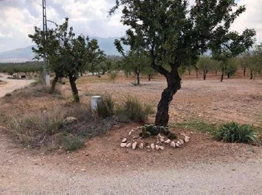 Terreno en venta en Vélez Rubio, Almería photo 5