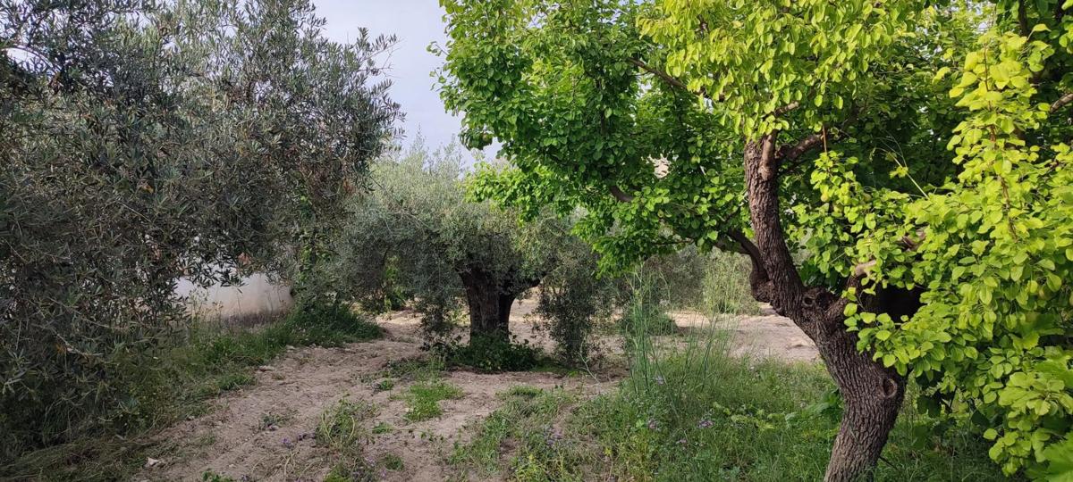 Działka na sprzedaż w Vélez Blanco, Almería photo 1