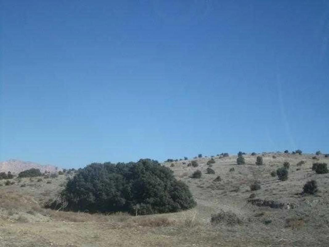 Terreno en venta en Vélez Rubio, Almería photo 3